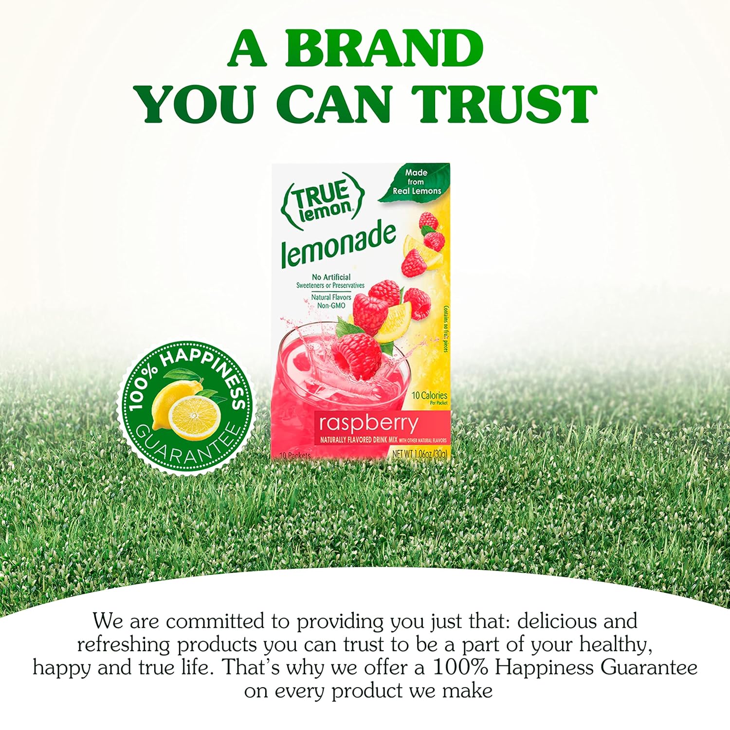 TRUE LIME Black Cherry Limeade Drink Mix (10 Count - 1 pack) | Made from Real Limes | No Preservatives, No Artificial Sweeteners, Gluten Free | Water Flavor Packets & Water Enhancer with Stevia - Image 7